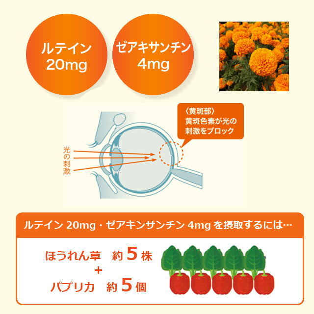 目の健康が気になる方のサプリメント「オプティバリアレチナサポート(180粒入り)」