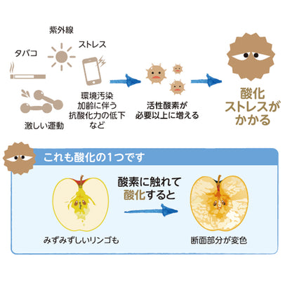 目などのエイジングに着目したサプリメント「サンテウェルビジョン(1か月分)」