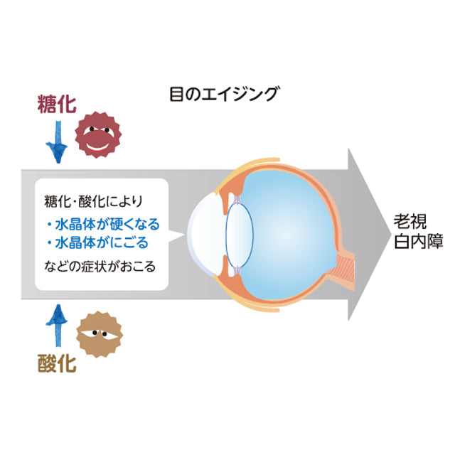 目などのエイジングに着目したサプリメント「サンテウェルビジョン(1か月分)」